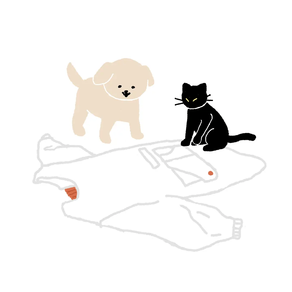 犬と猫が割烹着を作っている様子